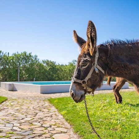 Burro Ville By Host Wise ปอร์ติเมา ภายนอก รูปภาพ