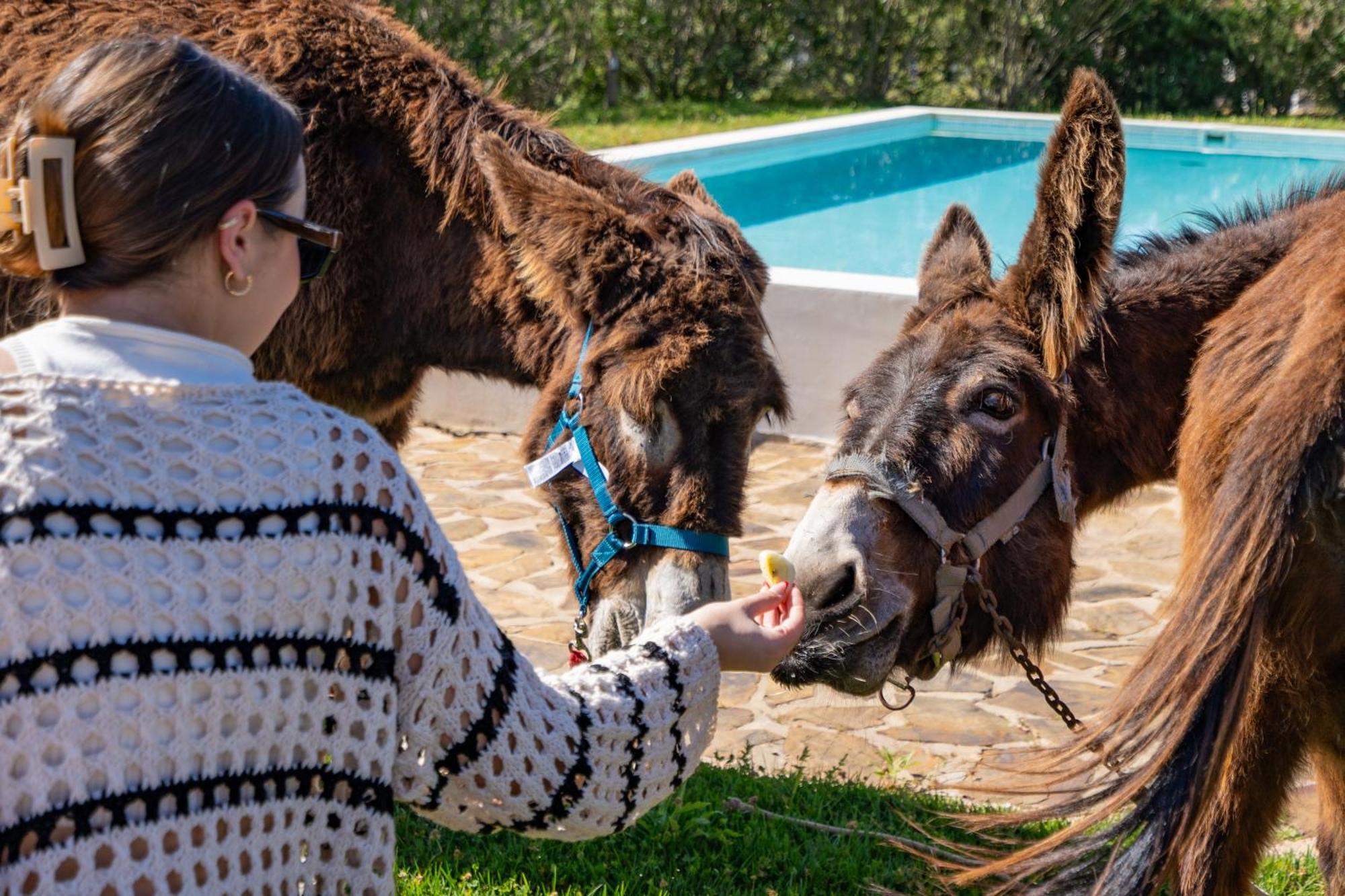 Burro Ville By Host Wise ปอร์ติเมา ภายนอก รูปภาพ