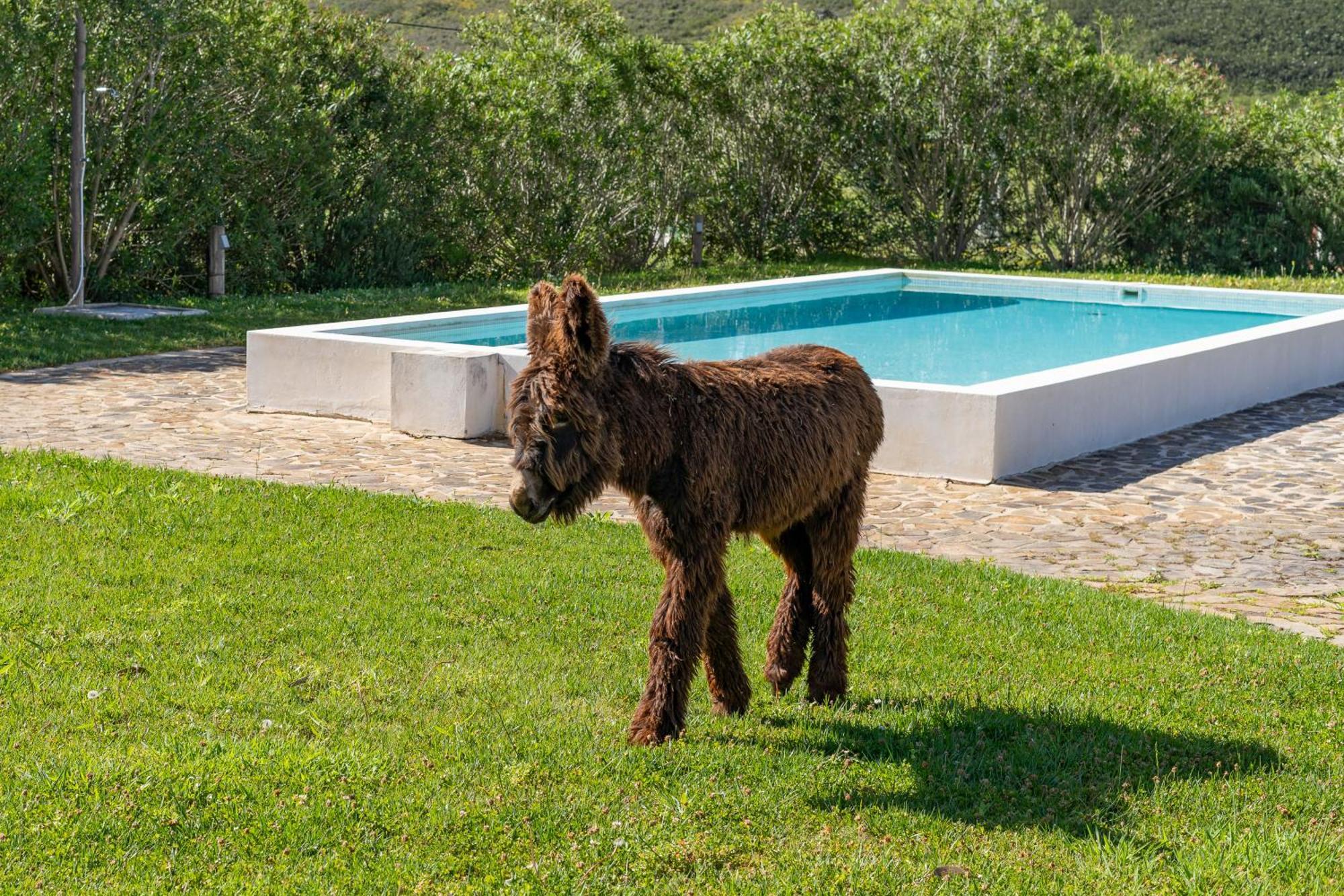 Burro Ville By Host Wise ปอร์ติเมา ภายนอก รูปภาพ